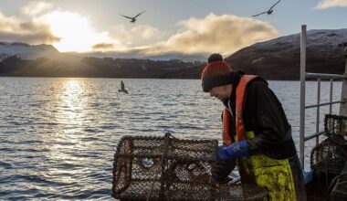 Scotland protects more than a third of its seas. Why is trawling still allowed?
