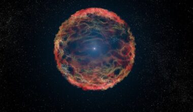 This artist's illustration shows supernova 1993J, an exploding star in the galaxy M81 whose light reached us 21 years ago. While we've seen supernova like this one exploding in other galaxies, it's been almost 1,000 years since astronomers have observed a Type II core-collapse supernova in the Milky Way. The Vera Rubin Observatory will change that. Image Credit: NASA, ESA, and G. Bacon (STScI)