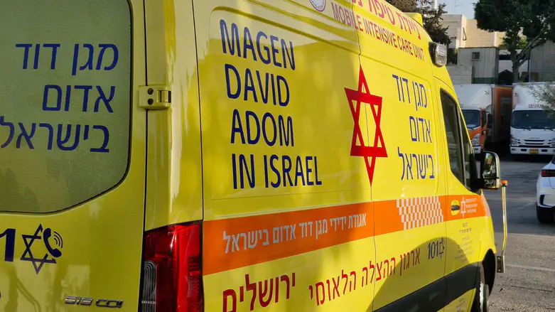 Unusual discovery in Hadera sewage pipe