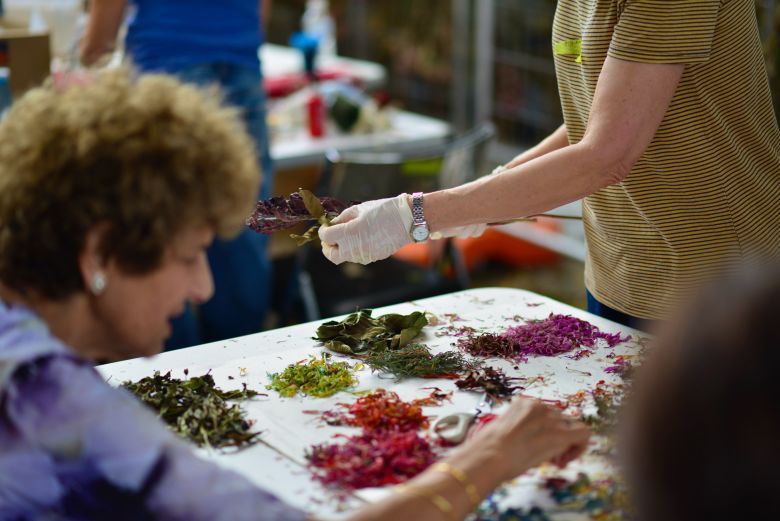 Drying and storing the rapidly deteriorating flowers was a huge logistical undertaking.