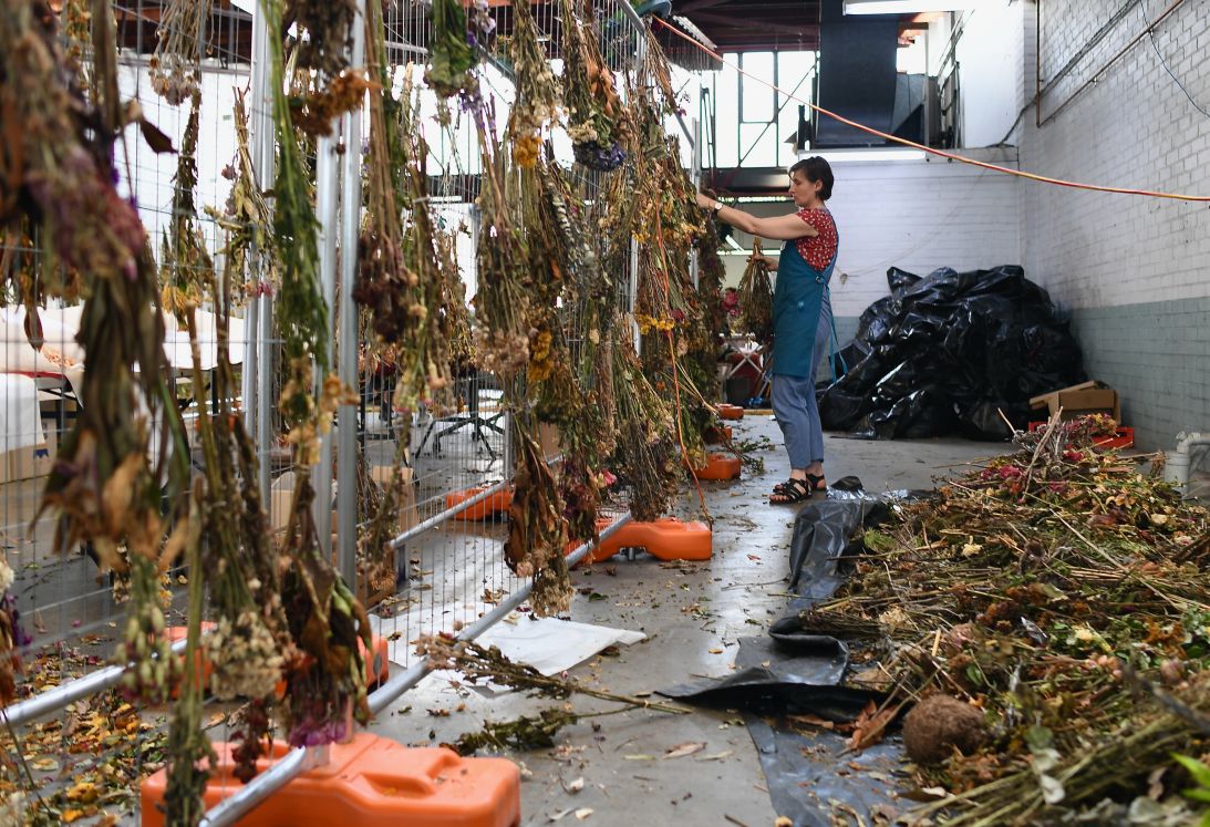 With the help of over a hundred volunteers, the artist has preserved the flowers left on Bondi Beach.