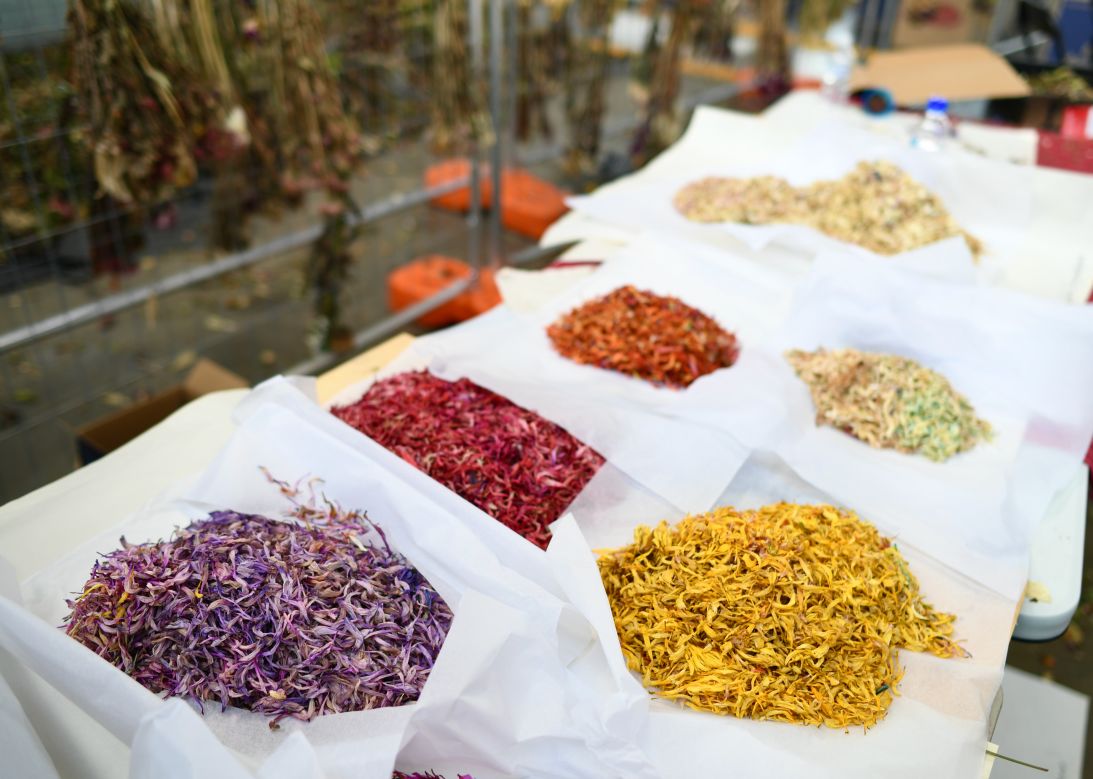 Petals sorted by color.