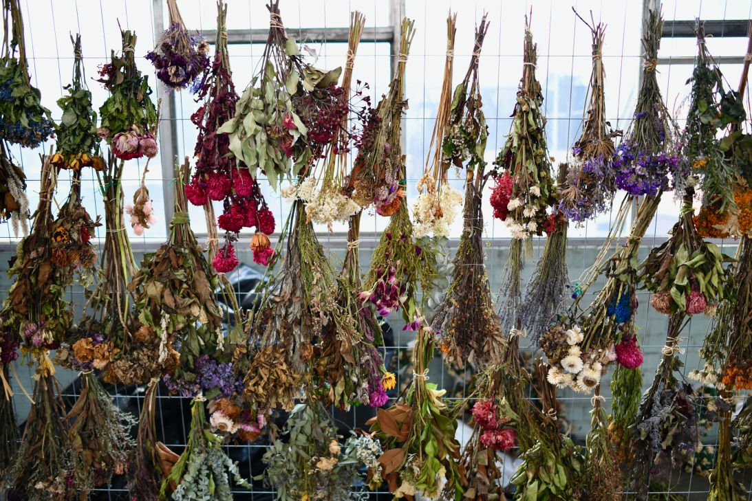 Sanadze saw a chance to immortalize the bouquets, even as their petals faded and decomposed.