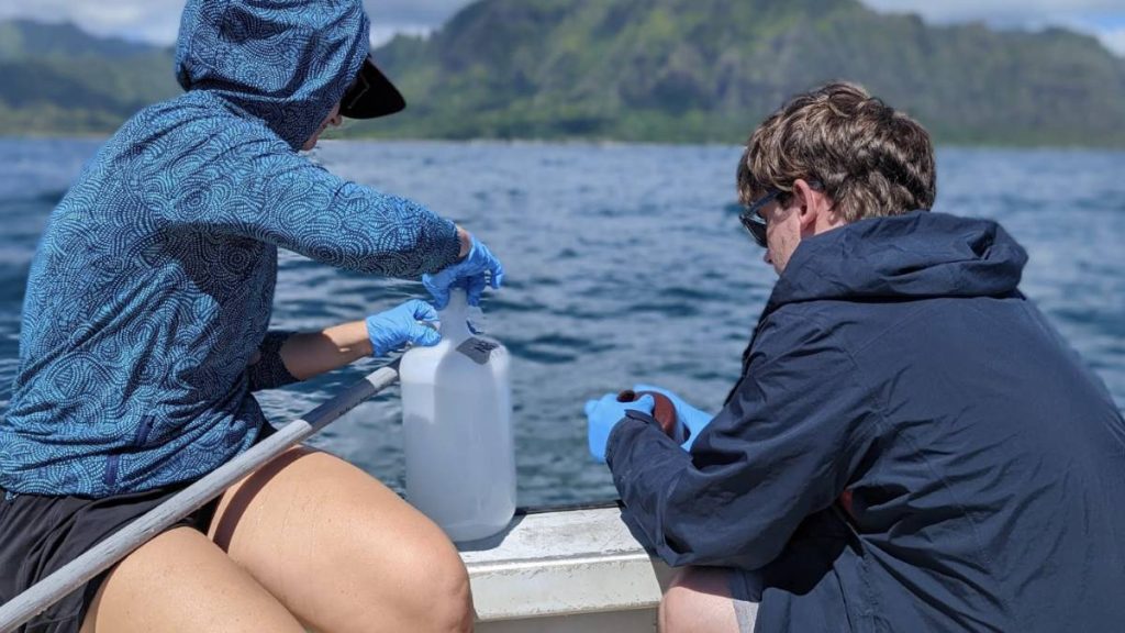 UH study reveals how ocean’s most abundant bacteria diversify : Maui Now