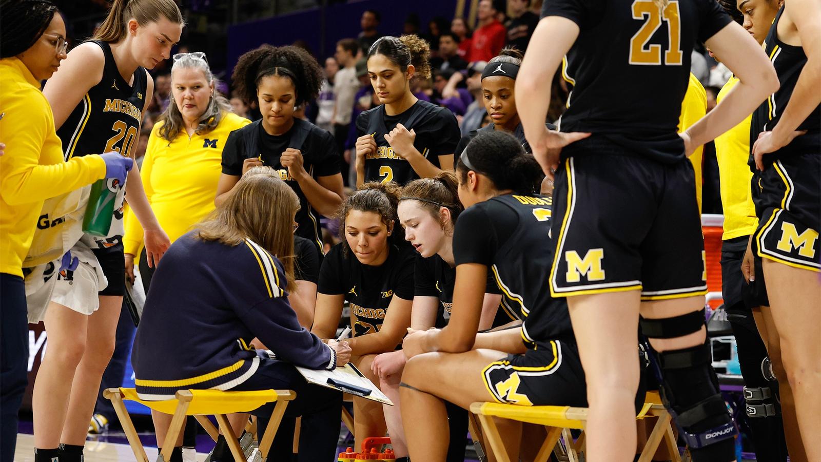 University of Minnesota Logo