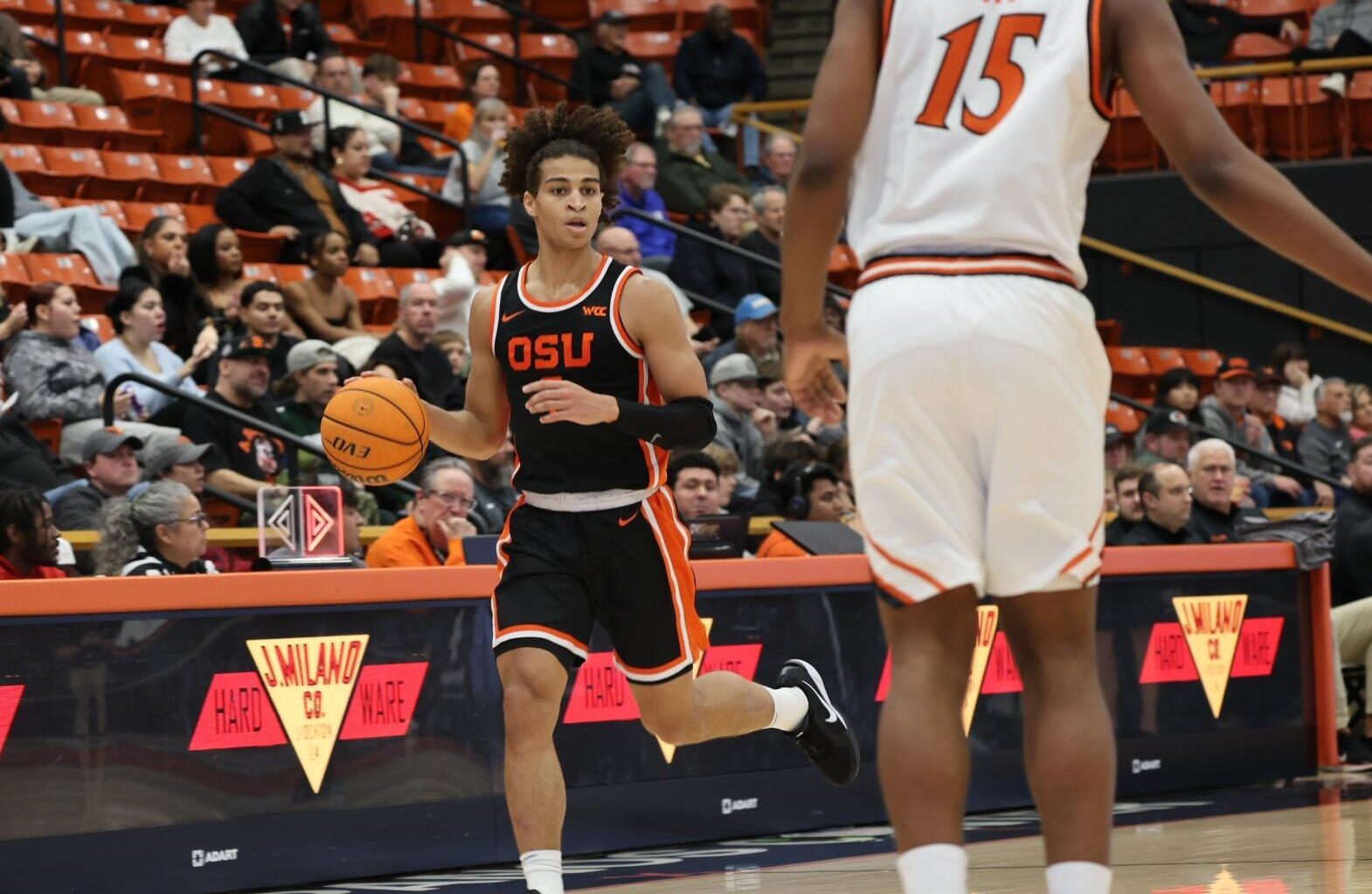 Washington State University Logo