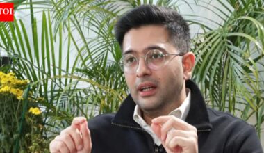 'Hostages with helmets': Raghav Chadha backs gig workers’ strike; blames delivery apps for politicising fair pay | India News