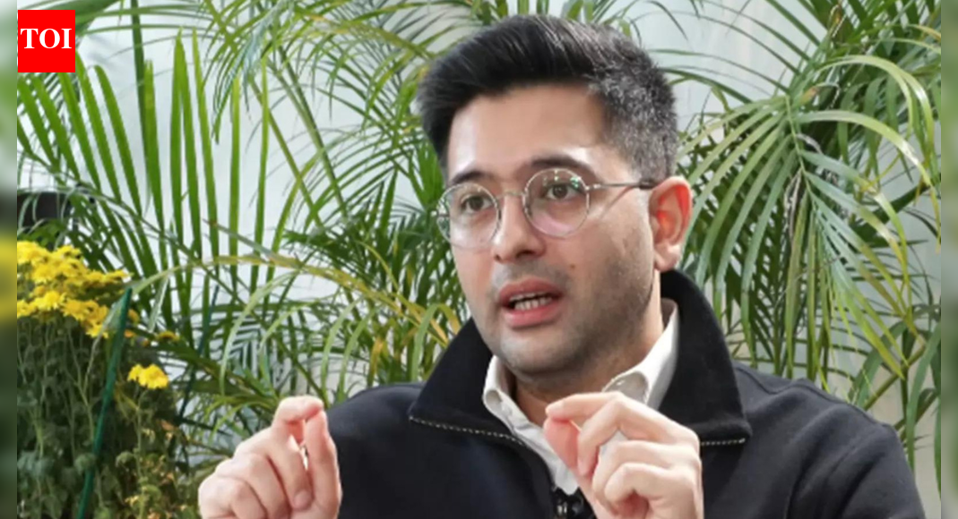 'Hostages with helmets': Raghav Chadha backs gig workers’ strike; blames delivery apps for politicising fair pay | India News