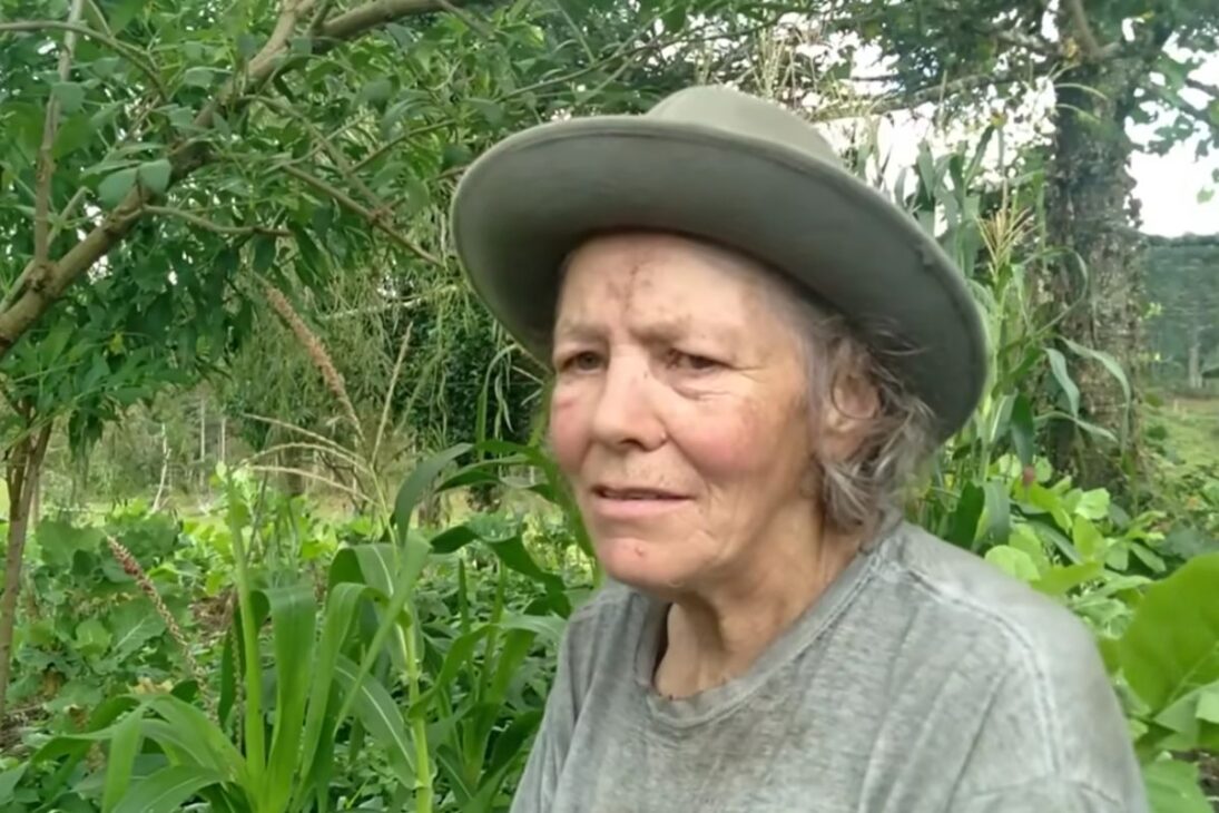 Two sisters, aged 72 and 73, live alone, maintain a vegetable garden, go to the market with milk, and base their care on medicinal plants, demonstrating their routine, income, and self-care in the countryside.