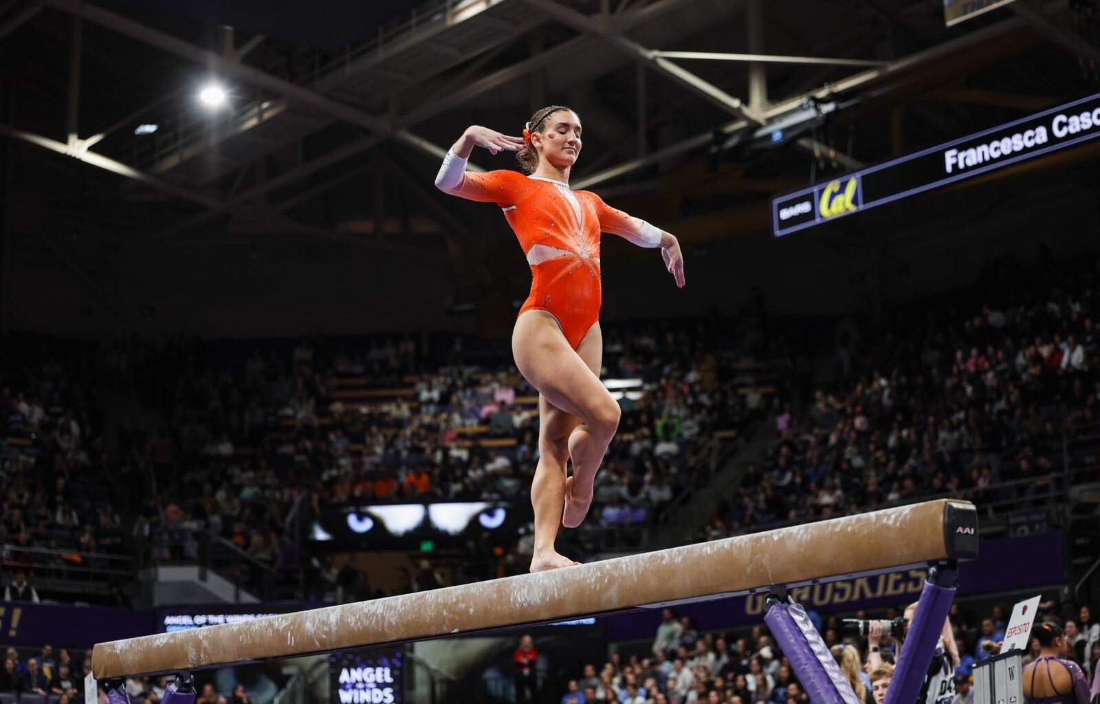 Brigham Young University Logo