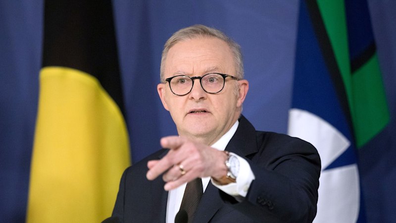 Former Labor MPs urge Albanese for royal commission into antisemitism