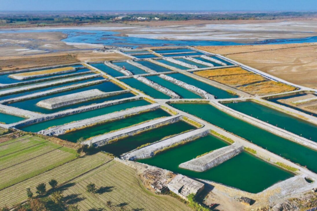 Aquaculture tanks in Xinjiang's Taklamakan Desert use recycled water and deliver 99% survival rates with record production.