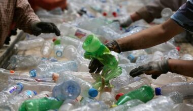 Black plastic and toothpaste tubes can now go in Hamilton's blue box