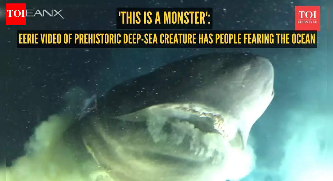 'This is a monster': Eerie video of prehistoric deep-sea creature has people swearing off the ocean |
