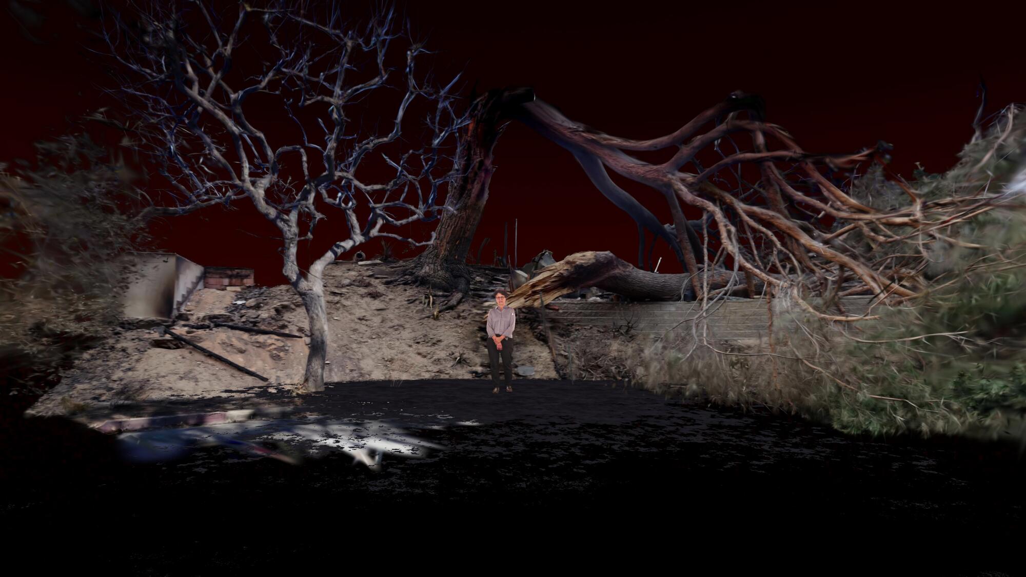 A woman stands before fire ravaged trees.