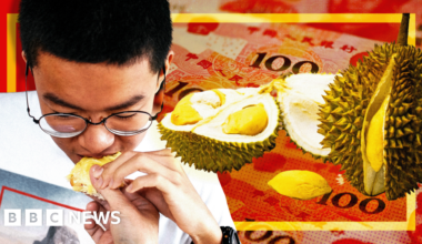 Town cashing-in on China's billion-dollar appetite for luxury durian
