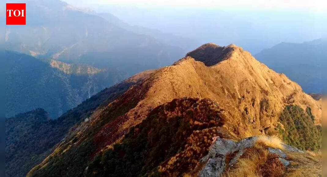 In a 1st in 4 decades, peaks in Garhwal Himalayas remain snowless in Jan, affect growth of medicinal plants | Dehradun News