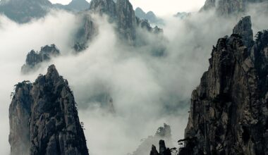 Regulation 10 of the DIFC Data Protection Law: Why it matters for processing conducted using Autonom : Clyde & Co