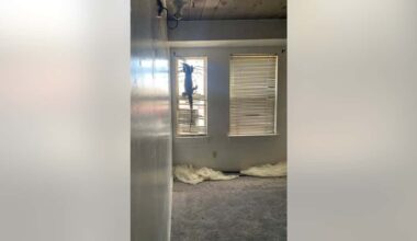 Tenants abandon massive lizard in Alameda