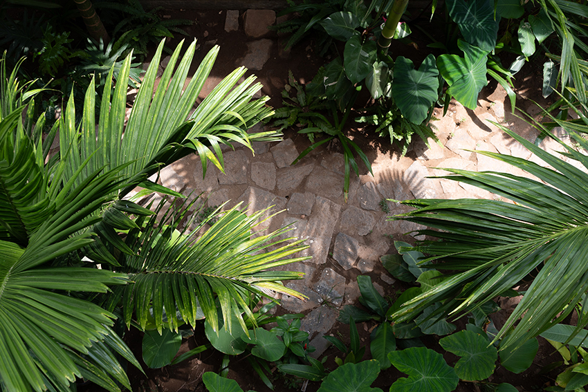 four spatial sequences compose indian residence anchored in memory