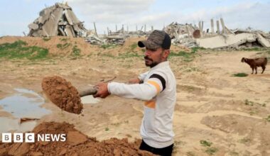 Inside the Factory: Oven Chips