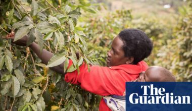 Cloth wraps treated with ‘dirt cheap’ insecticide cut malaria cases in babies | Global health