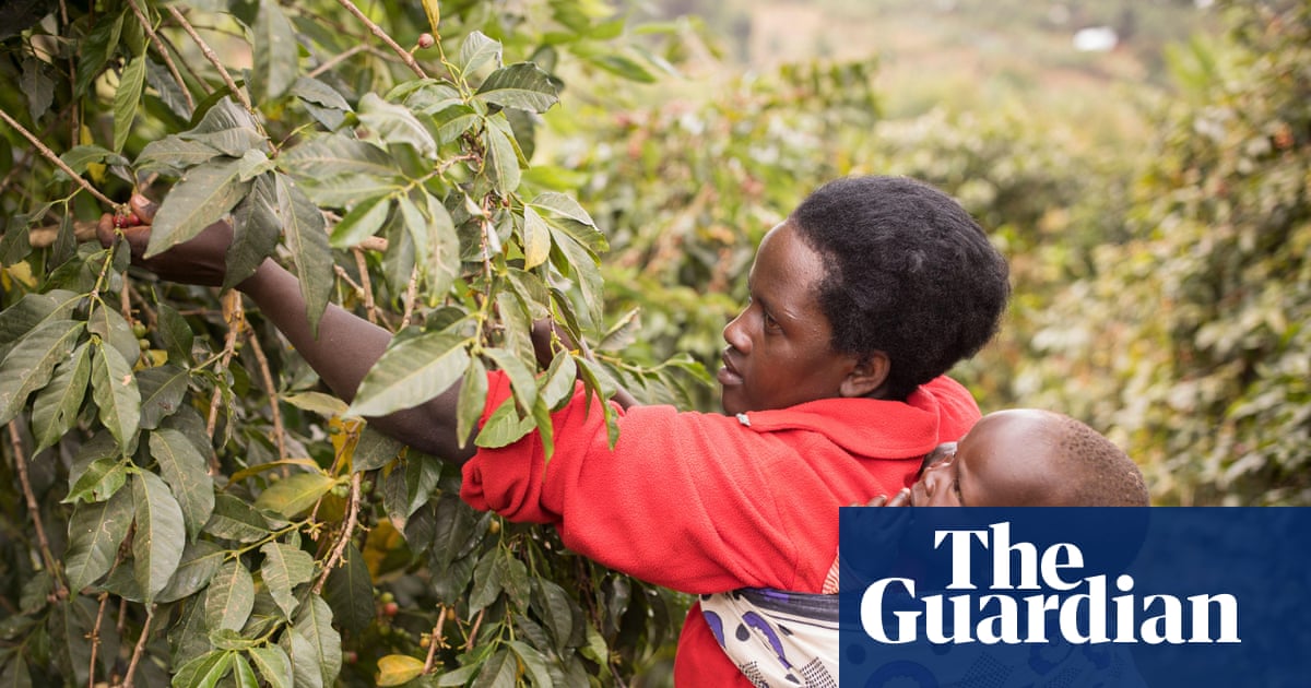 Cloth wraps treated with ‘dirt cheap’ insecticide cut malaria cases in babies | Global health