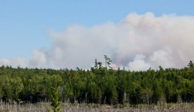 Annapolis County had 'very good' response to Long Lake wildfire, report says