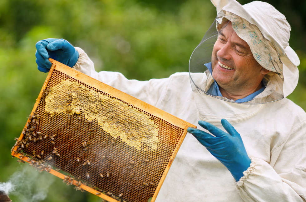 hobbies, unique hobbies, irl hobbies, meeting new people, boxing club, meet ups near me, clubs near me, making friends, ask reddit