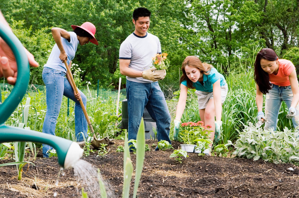 hobbies, unique hobbies, irl hobbies, meeting new people, boxing club, meet ups near me, clubs near me, making friends, ask reddit