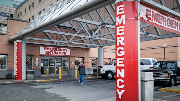 Doctors say Alberta's plan for ‘triage liaison physicians’ can help, but isn't cure for slammed ERs