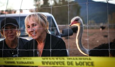 Tribunal upholds $10K fine for B.C. ostrich farm's failure to report sick birds