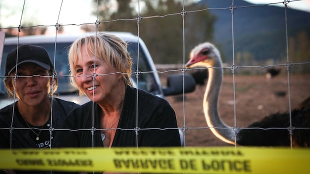 Tribunal upholds $10K fine for B.C. ostrich farm's failure to report sick birds