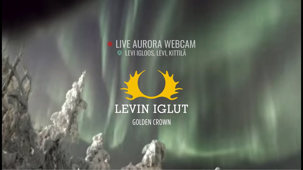 Northern Lights Live Camera at Levi Igloos #northernlights #auroraborealis #lapland - YouTube