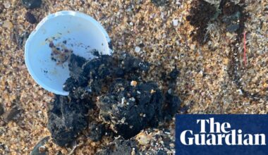 New poo balls on Sydney beaches after revelation of huge fatberg stuck in treatment plant | New South Wales
