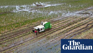 Biodiversity collapse threatens UK security, intelligence chiefs warn | Biodiversity