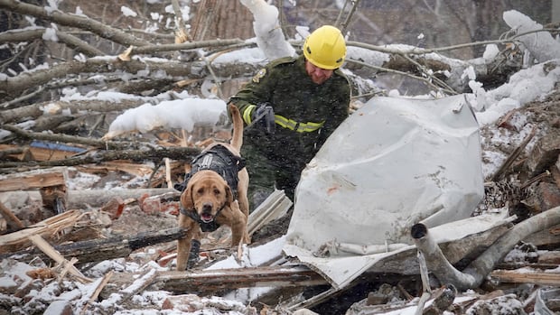 Inspectors flagged Montreal building before fire that shut down Jacques-Cartier Bridge