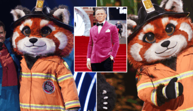ITV The Masked Singer Red Panda theory 'proves' singer is former James Bond star after glaring 007 clue