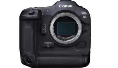 Canon EOS R3 stock image