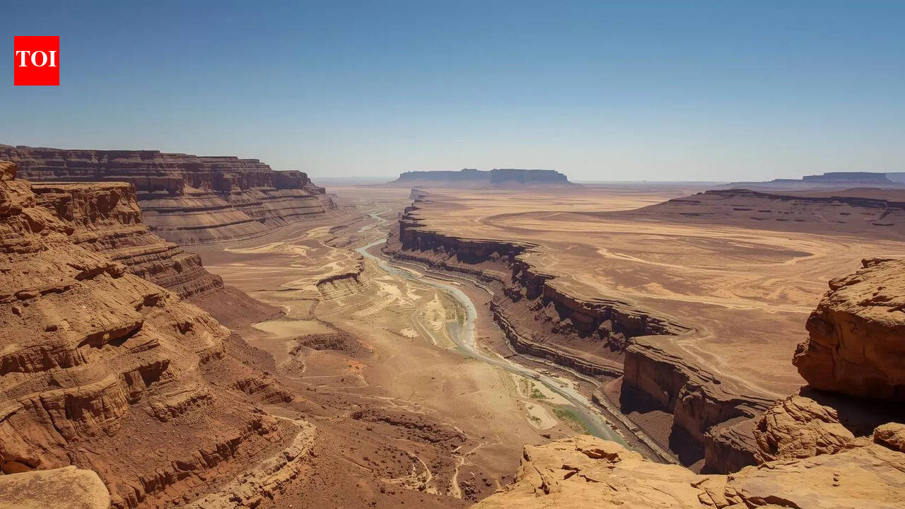 Mysterious Ancient life found in tunnels of Africa and Arabia leave scientists searching for answers | World News