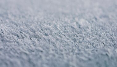 Cold Weather Advisory