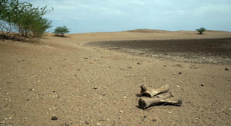 World enters era of ‘global water bankruptcy’