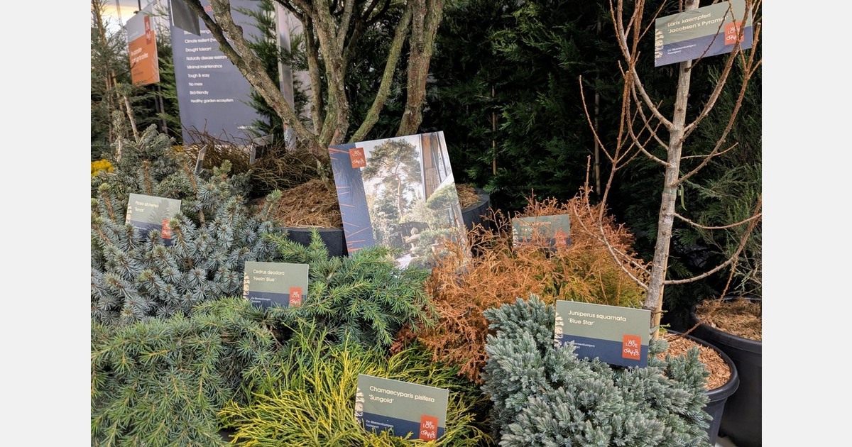 Twelve growers launch 'We Love Conifers' collective