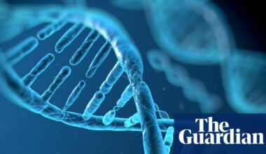 Google DeepMind launches AI tool to help identify genetic drivers of disease | Genetics