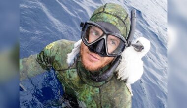 Diver Feels 'Touch' On His Shoulder And Realizes A Baby Bird Is Cuddling Him