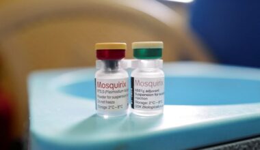 Ghana's Progress in Malaria Vaccination Amid Aid Challenges