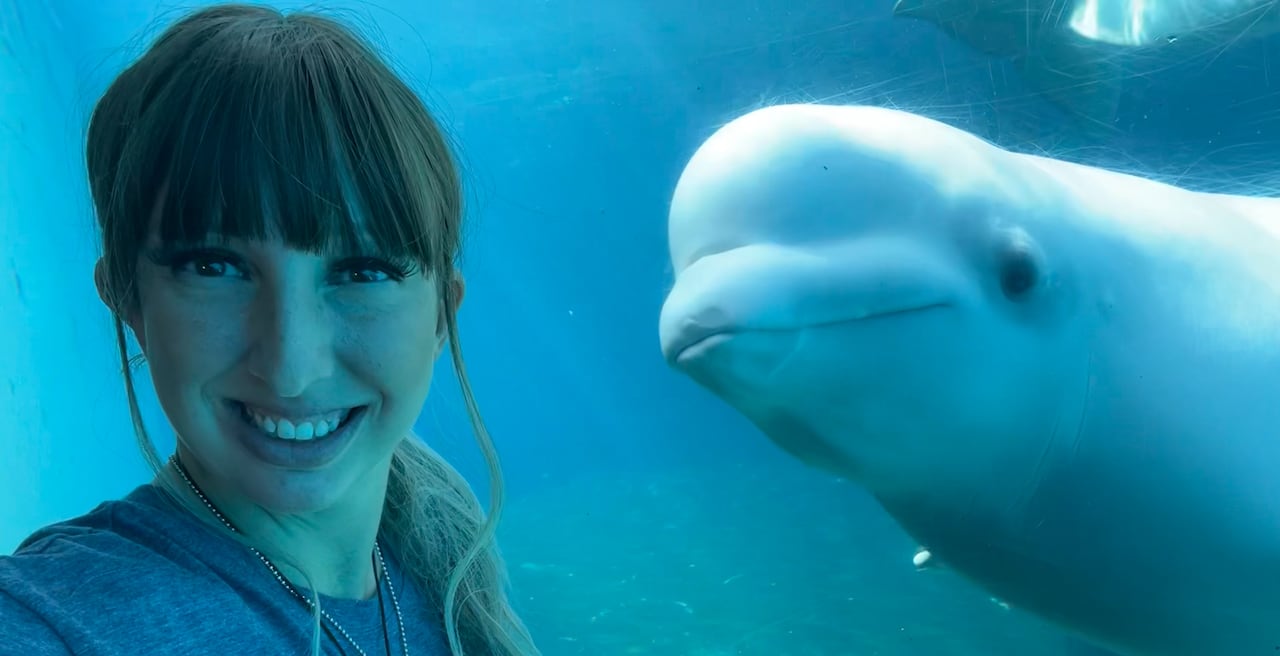 A person looks at the camera beside a beluga on the other side of glass