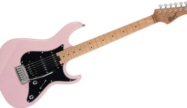 Cort Guitars Introduces the G290 Modern Electric Guitar