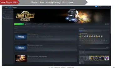 FreeBSD gaming with Linuxulator and Steam