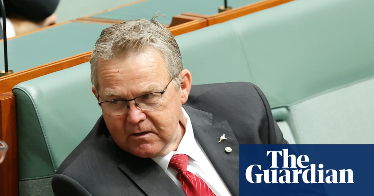 A ‘furious’ cattle farmer wants to be Nationals leader. But few expect the party to become a Boyce club | National party